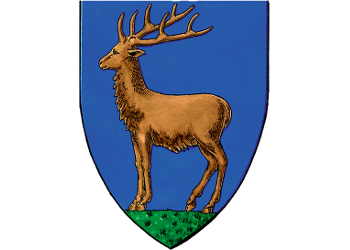 Consiliul Judetean Gorj